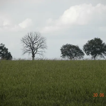 Nyaraló Historisches Kuesterhaus Reetdachtraeume *