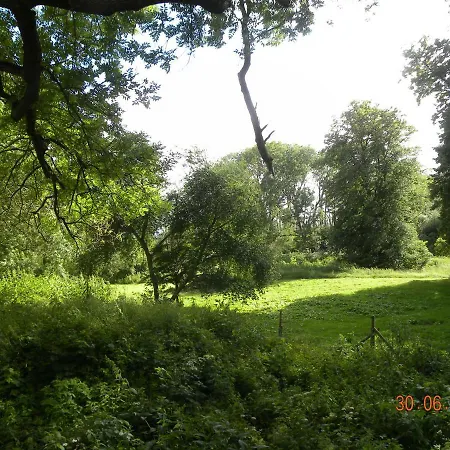 Historisches Kuesterhaus Reetdachtraeume *