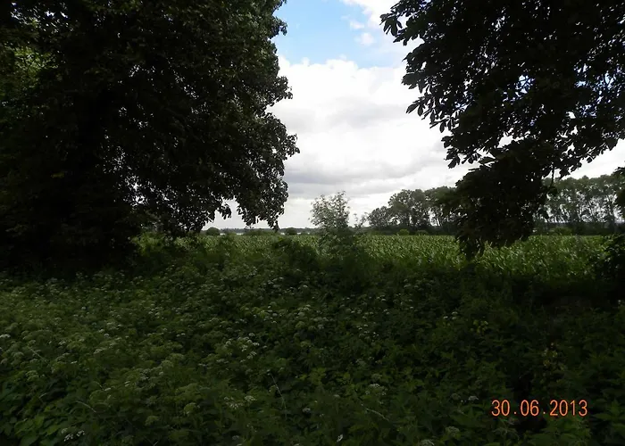 Historisches Kuesterhaus Reetdachtraeume Hébergement de vacances Putzar