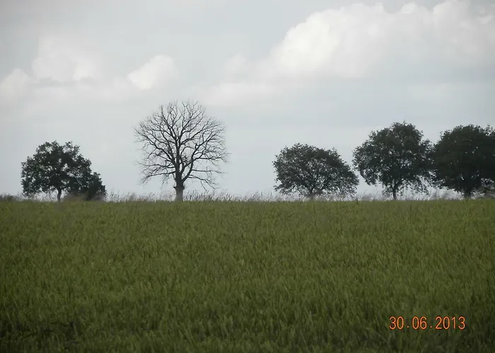 Hébergement de vacances Historisches Kuesterhaus Reetdachtraeume *