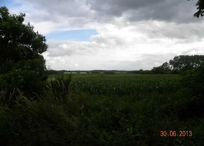 Hébergement de vacances Historisches Kuesterhaus Reetdachtraeume Putzar